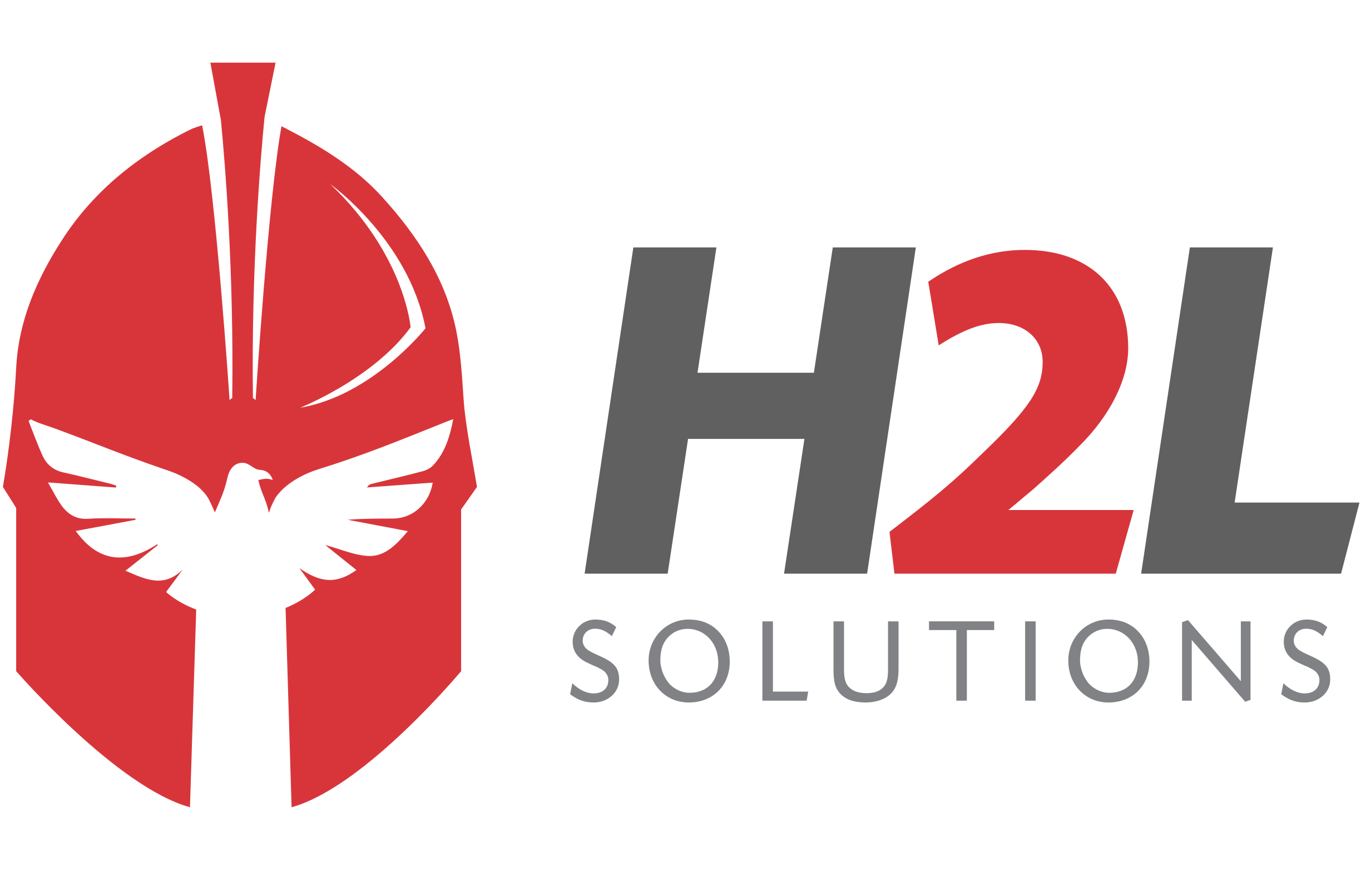 H2L Solutions